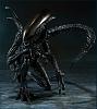 Click image for larger version. 

Name:	alien2.jpg 
Views:	3829 
Size:	48.2 KB 
ID:	129392