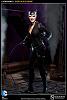 Click image for larger version. 

Name:	100164-catwoman-002.jpg 
Views:	491 
Size:	56.2 KB 
ID:	129902