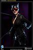 Click image for larger version. 

Name:	100164-catwoman-006.jpg 
Views:	460 
Size:	55.3 KB 
ID:	129942