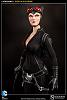 Click image for larger version. 

Name:	100164-catwoman-007.jpg 
Views:	448 
Size:	54.1 KB 
ID:	129952