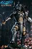 Click image for larger version. 

Name:	Hot Toys - Alien vs. Predator - Celtic Predator Collectible Figure_PR5.jpg 
Views:	5210 
Size:	90.7 KB 
ID:	134871