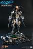 Click image for larger version. 

Name:	Hot Toys - Alien vs. Predator - Celtic Predator Collectible Figure_PR16.jpg 
Views:	2199 
Size:	442.6 KB 
ID:	135541