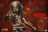 Click image for larger version. 

Name:	Hot Toys - Predator 2 - Elder Predator Collectible Figure_PR7.jpg 
Views:	2863 
Size:	235.1 KB 
ID:	149171