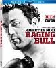 Click image for larger version. 

Name:	raging bull.JPG 
Views:	412 
Size:	49.8 KB 
ID:	16083