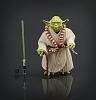 Click image for larger version. 

Name:	322180_SW_Yoda_Black_Series.jpg 
Views:	1336 
Size:	335.4 KB 
ID:	186862