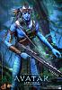 Click image for larger version. 

Name:	Hot Toys - Avatar - Jake Sully Collectible Figure_PR7.jpg 
Views:	257 
Size:	503.5 KB 
ID:	20748