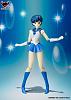 Click image for larger version. 

Name:	1sailorMercury.jpg 
Views:	2360 
Size:	43.6 KB 
ID:	97792