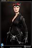 Click image for larger version. 

Name:	100164-catwoman-007.jpg 
Views:	446 
Size:	54.1 KB 
ID:	129952