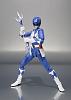 Click image for larger version. 

Name:	SHF Blue Ranger 03.JPG 
Views:	284 
Size:	134.9 KB 
ID:	152131