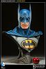 Click image for larger version. 

Name:	1batbust5.jpg 
Views:	193 
Size:	59.2 KB 
ID:	124572