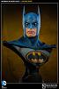 Click image for larger version. 

Name:	1batbust4.jpg 
Views:	208 
Size:	48.8 KB 
ID:	124562