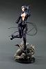 Click image for larger version. 

Name:	catwoman_miage1.jpg 
Views:	14168 
Size:	152.3 KB 
ID:	11393