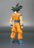 Click image for larger version. 

Name:	SHF Goku3.jpg 
Views:	7411 
Size:	115.8 KB 
ID:	130552