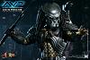 Click image for larger version. 

Name:	Hot Toys - Alien vs. Predator - Celtic Predator Collectible Figure_PR12.jpg 
Views:	4005 
Size:	451.9 KB 
ID:	134941