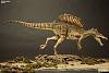Click image for larger version. 

Name:	1Spinosaurus4.jpg 
Views:	217 
Size:	149.2 KB 
ID:	181872
