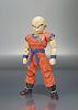 Click image for larger version. 

Name:	1krillin.jpg 
Views:	3404 
Size:	195.5 KB 
ID:	89752