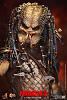 Click image for larger version. 

Name:	Hot Toys - Predator 2 - Elder Predator Collectible Figure_PR15.jpg 
Views:	2474 
Size:	239.0 KB 
ID:	149251