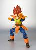 Click image for larger version. 

Name:	1sdccVEGETA3.jpg 
Views:	176 
Size:	44.4 KB 
ID:	201362