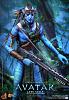 Click image for larger version. 

Name:	Hot Toys - Avatar - Jake Sully Collectible Figure_PR7.jpg 
Views:	260 
Size:	503.5 KB 
ID:	20748
