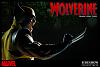 Click image for larger version. 

Name:	1Wolverine11.jpg 
Views:	261 
Size:	106.4 KB 
ID:	2267