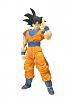 Click image for larger version. 

Name:	SHF Goku1.jpg 
Views:	12767 
Size:	83.3 KB 
ID:	130532