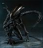 Click image for larger version. 

Name:	alien2.jpg 
Views:	3827 
Size:	48.2 KB 
ID:	129392