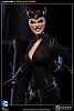 Click image for larger version. 

Name:	100164-catwoman-005.jpg 
Views:	667 
Size:	62.8 KB 
ID:	129932