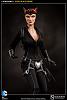 Click image for larger version. 

Name:	100164-catwoman-008.jpg 
Views:	647 
Size:	46.7 KB 
ID:	129962