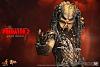 Click image for larger version. 

Name:	Hot Toys - Predator 2 - Elder Predator Collectible Figure_PR13.jpg 
Views:	2733 
Size:	199.7 KB 
ID:	149231