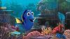 Click image for larger version. 

Name:	Dory (2).jpg 
Views:	895 
Size:	127.3 KB 
ID:	76022