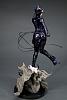 Click image for larger version. 

Name:	catwoman_back2.jpg 
Views:	991 
Size:	156.1 KB 
ID:	11389