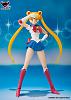 Click image for larger version. 

Name:	1sailormoon2.jpg 
Views:	1138 
Size:	73.4 KB 
ID:	79302