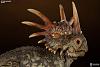 Click image for larger version. 

Name:	1Styracosaurus5.jpg 
Views:	174 
Size:	127.7 KB 
ID:	181952