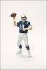 Click image for larger version. 

Name:	PEYTON MANNING1.jpg 
Views:	317 
Size:	35.1 KB 
ID:	11314