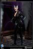 Click image for larger version. 

Name:	100164-catwoman-002.jpg 
Views:	488 
Size:	56.2 KB 
ID:	129902