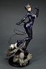 Click image for larger version. 

Name:	catwoman_misage1.jpg 
Views:	6018 
Size:	146.0 KB 
ID:	11394