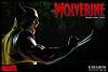 Click image for larger version. 

Name:	1Wolverine11.jpg 
Views:	270 
Size:	106.4 KB 
ID:	2267