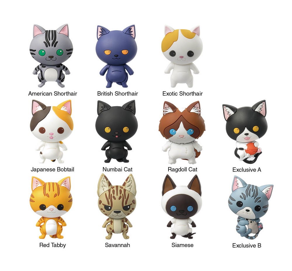 toys for blind cats