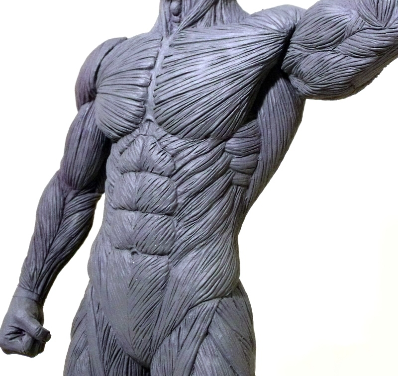 REVIEW: Artist's Anatomy Male Anatomy Model