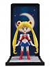 Click image for larger version. 

Name:	sailormoon_004.jpg 
Views:	430 
Size:	77.2 KB 
ID:	242632