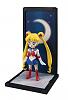 Click image for larger version. 

Name:	sailormoon_005.jpg 
Views:	187 
Size:	65.7 KB 
ID:	242642