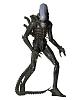 Click image for larger version. 

Name:	1300x-1979-Alien-1-4-scale01.jpg 
Views:	301 
Size:	85.0 KB 
ID:	306710