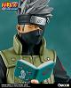 Click image for larger version. 

Name:	kakashi_std_25 r.jpg 
Views:	411 
Size:	66.9 KB 
ID:	311672