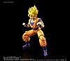 Click image for larger version. 

Name:	goku_2.jpg 
Views:	1143 
Size:	94.5 KB 
ID:	312630