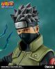 Click image for larger version. 

Name:	kakashi_std_21 r.jpg 
Views:	411 
Size:	66.9 KB 
ID:	311668