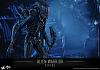 Click image for larger version. 

Name:	Hot Toys - Aliens - Alien Warrior Collectible Figure_PR5.jpg 
Views:	2452 
Size:	153.9 KB 
ID:	310153
