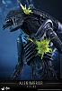 Click image for larger version. 

Name:	Hot Toys - Aliens - Alien Warrior Collectible Figure_PR11.jpg 
Views:	3660 
Size:	164.5 KB 
ID:	310159