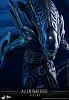 Click image for larger version. 

Name:	Hot Toys - Aliens - Alien Warrior Collectible Figure_PR12.jpg 
Views:	2572 
Size:	135.4 KB 
ID:	310160