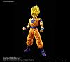 Click image for larger version. 

Name:	goku_1.jpg 
Views:	378 
Size:	87.5 KB 
ID:	312629