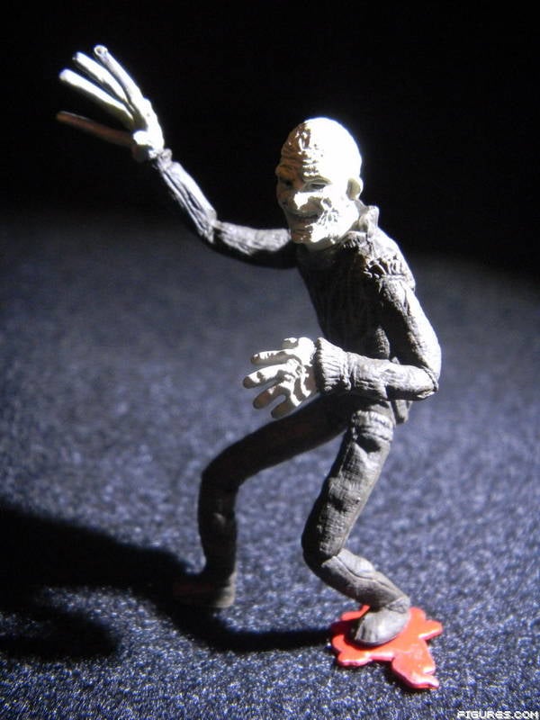 Freddy